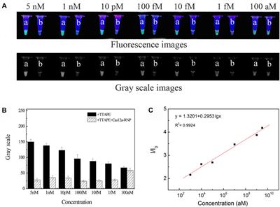 CRISPR/Cas12a-Assisted Visual Logic-Gate Detection of Pathogenic Microorganisms Based on Water-Soluble DNA-Binding AIEgens
